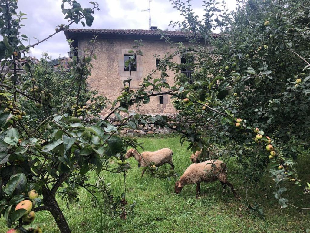 Вилла La Casona Del Xerron El Condado Экстерьер фото